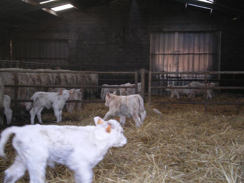 ferme_213.jpg